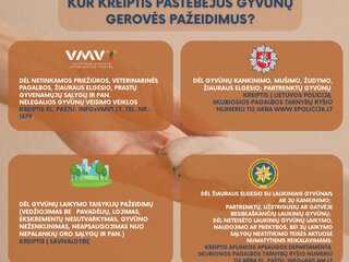 Kur kreiptis pastebėjus gyvūnų gerovės pažeidimus