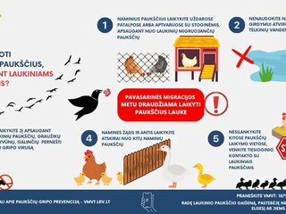 Įspėjame apie padidėjusią paukščių gripo plitimo riziką