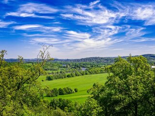 Patvirtintos 2025 m. tiesioginių išmokų taisyklės: ūkininkų laukia naujos galimybės ir svarbūs...