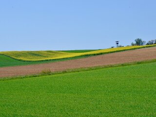 Svarbu informuoti ŽŪDC apie pasikeitusias kontrolinių žemės sklypų ribas