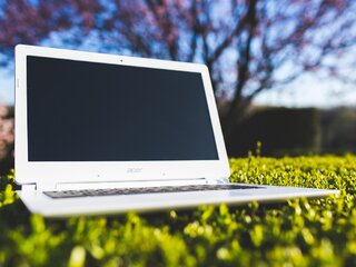 Pirmoji nuotolinė konsultacija pasėlių deklaravimo klausimais – ketvirtadienį 8 val.