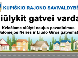 Kviečiame siūlyti naujus pavadinimus Salomėjos Nėries ir Liudo Giros gatvėms