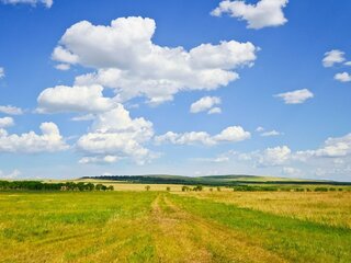Balandžio 14 d. – kasmetinio pasėlių deklaravimo pradžia