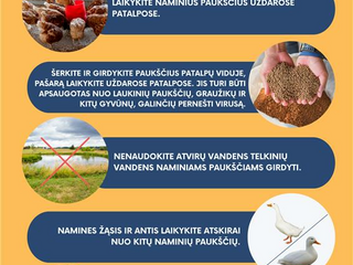 Paukščių gripas vėl Lietuvoje – židinys nustatytas Kaišiadorių rajone