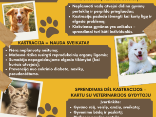 Gyvūnų ženklinimas ir registravimas