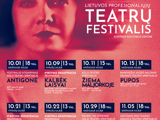 Unės Babickaitės Lietuvos profesionaliųjų teatrų festivalis