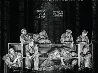Unės Babickaitės Lietuvos profesionaliųjų teatrų festivalis
