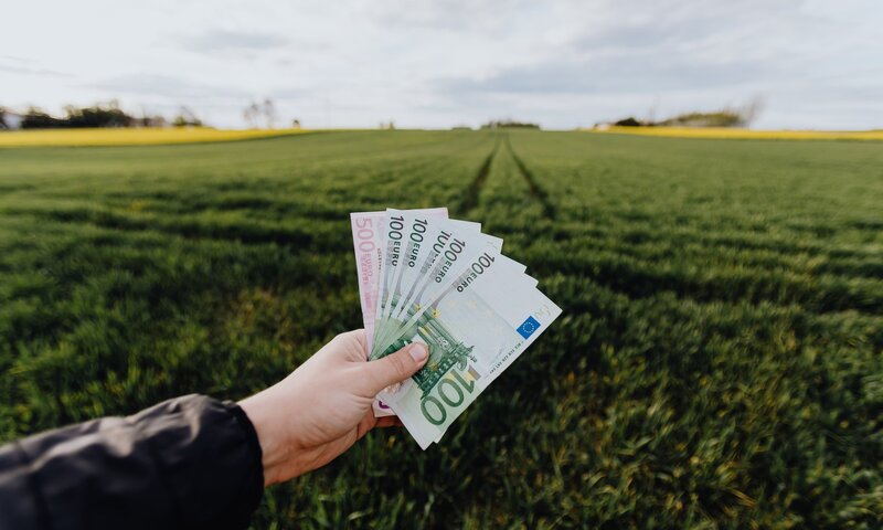Bazinės tiesioginės išmokos avansai ūkininkus pasieks anksčiau – ministras priėmė sprendimą...