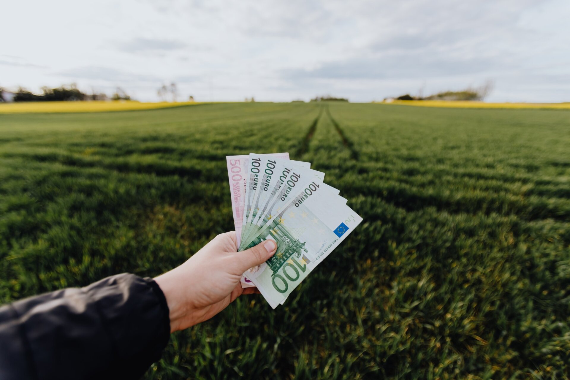 Bazinės tiesioginės išmokos avansai ūkininkus pasieks anksčiau – ministras priėmė sprendimą...